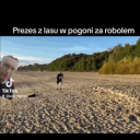 budyniekkk