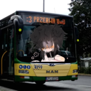 Pat Pat