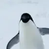 Quenky
