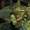 Habz