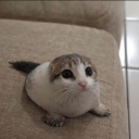 67122