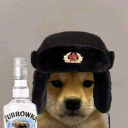 GrzybiarzMAN