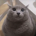 Katu