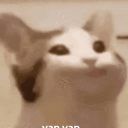 rybciaV