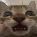 smylxx
