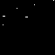 Kangur